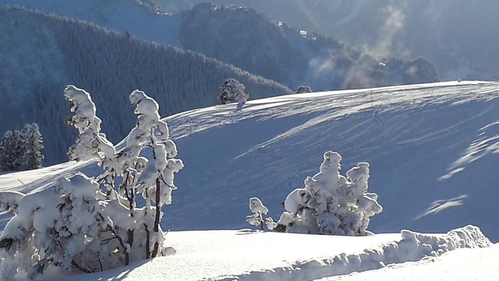 Landhaus Tirol Zellberg Esterno foto