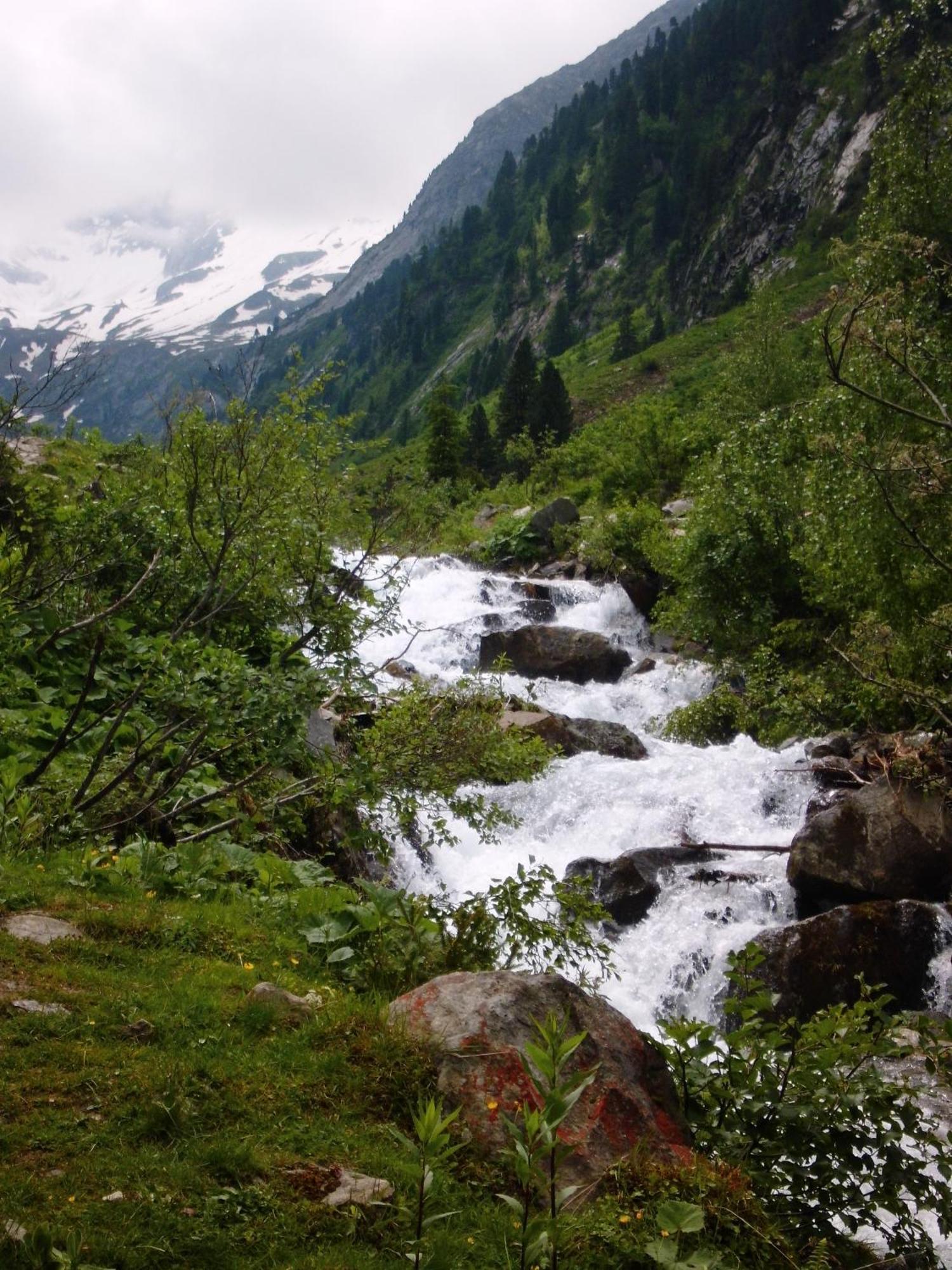 Landhaus Tirol Zellberg Esterno foto