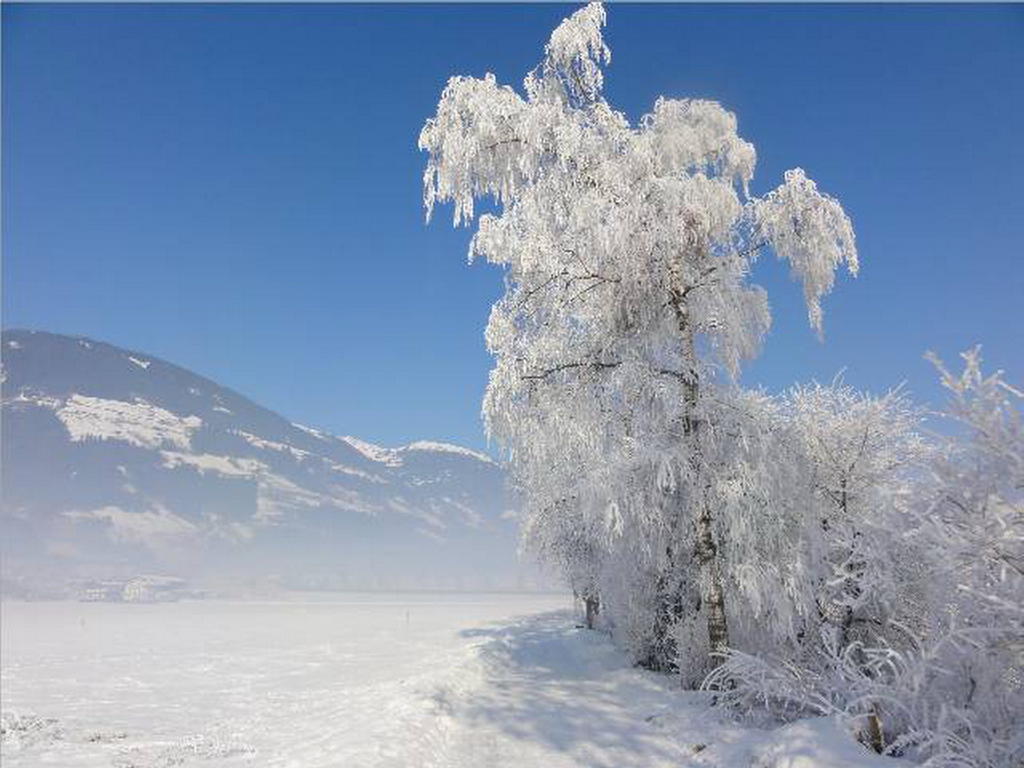 Landhaus Tirol Zellberg Esterno foto